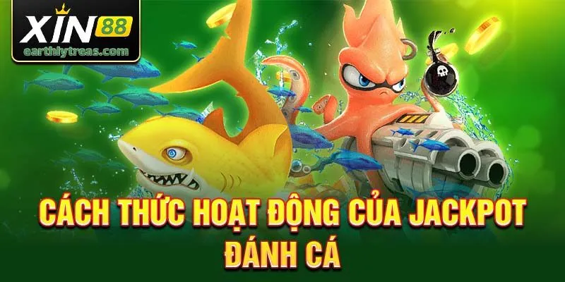 Cách thức hoạt động của Jackpot đánh cá