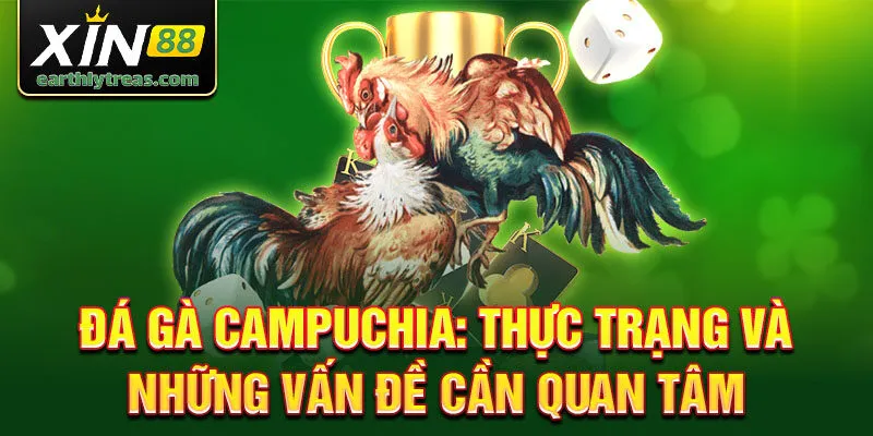 Đá gà campuchia: thực trạng và những vấn đề cần quan tâm