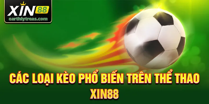 Các loại kèo phổ biến trên thể thao Xin88