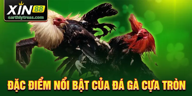 Đặc điểm nổi bật của đá gà cựa tròn